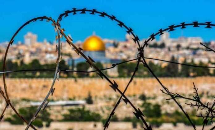 Chi sta dalla parte dei crimini israeliani in Palestina è un nemico della memoria dell'Olocausto
