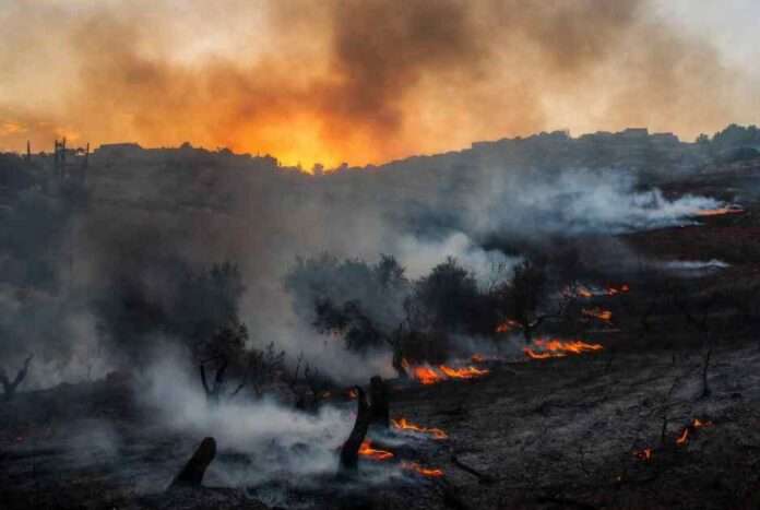 Cisgiordania, coloni impuniti 2.300 sfollati nel silenzio generale