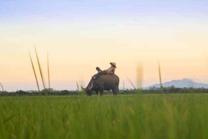 Diario minimo: conversando a cena scopriamo l'Asia, questa sconosciuta...