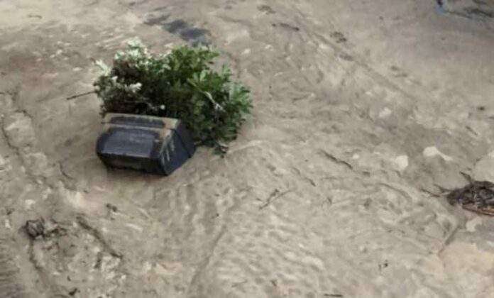 Frana ad Ischia, piangiamo distruzioni e morti. Ma quel retroscena della Nugnes sul condono...