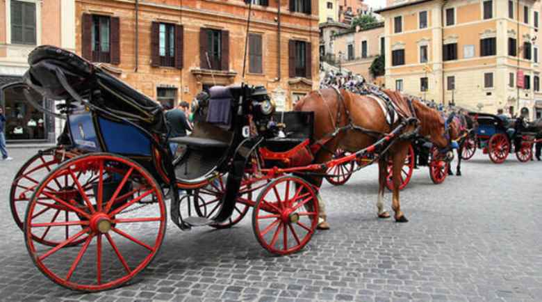 I cavalli delle botticelle romane: Cesare e gli altri