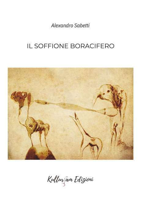 IL SOFFIONE BORACIFERO IL SOFFIONE BORACIFERO