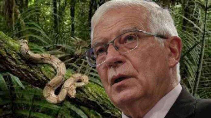 Il folle discorso colonialista di Josep Borrell