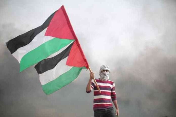 Il genocidio palestinese è la campana che suona per noi