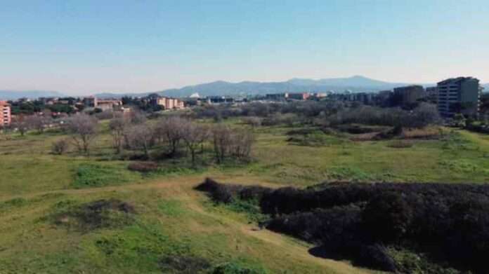 Il 