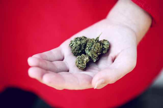 L’Onu ha depenalizzato la cannabis, ma perché è così stigmatizzata?