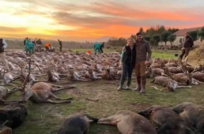Orrore in Portogallo: oltre 500 animali sterminati in una battuta di caccia