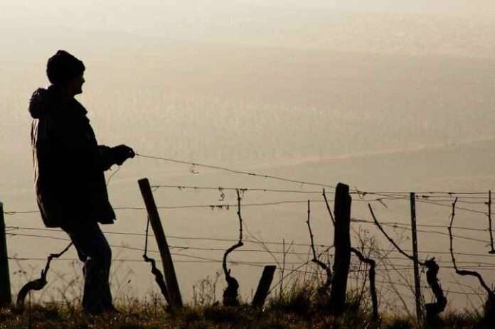 Onu, rapporto shock sull'Italia: 'Sfruttamento e persistenti violazioni dei diritti umani'