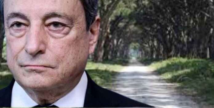Parco di Migliarino, lo sfregio del governo Draghi una base militare nella riserva naturale
