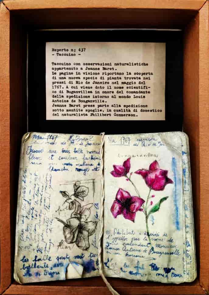 Per non smarrirsi prima di cominciare il viaggio Jeanne Baret
