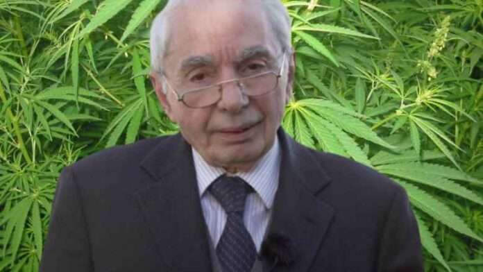 Referendum cannabis come stanno veramente le cose
