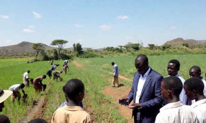 Sud Sudan, il credito che vuole riscrivere l’agricoltura