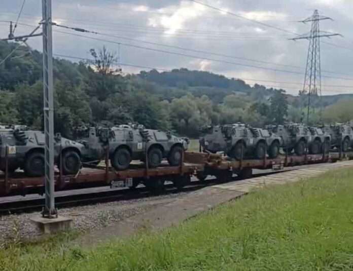 camillino e puma in ucraina