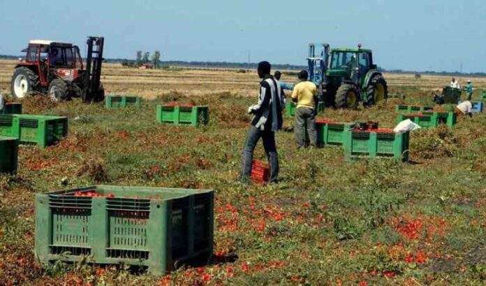Indagine su gravi irregolarità nelle coop gestite dalla moglie e dalla madre di Aboubakar Soumahoro