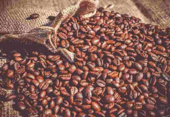 Il capitalismo è la storia delle merci: la via del caffè