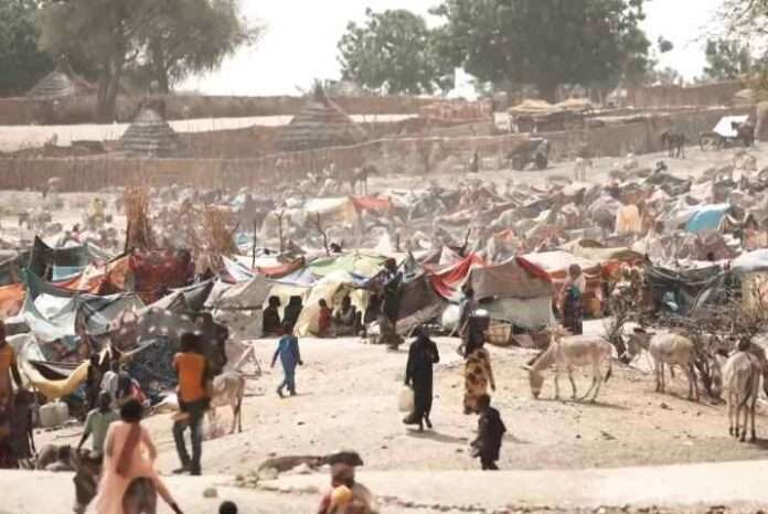 ONU lancia l'allarme: l'Egitto ospita 1,2 milioni di profughi sudanesi